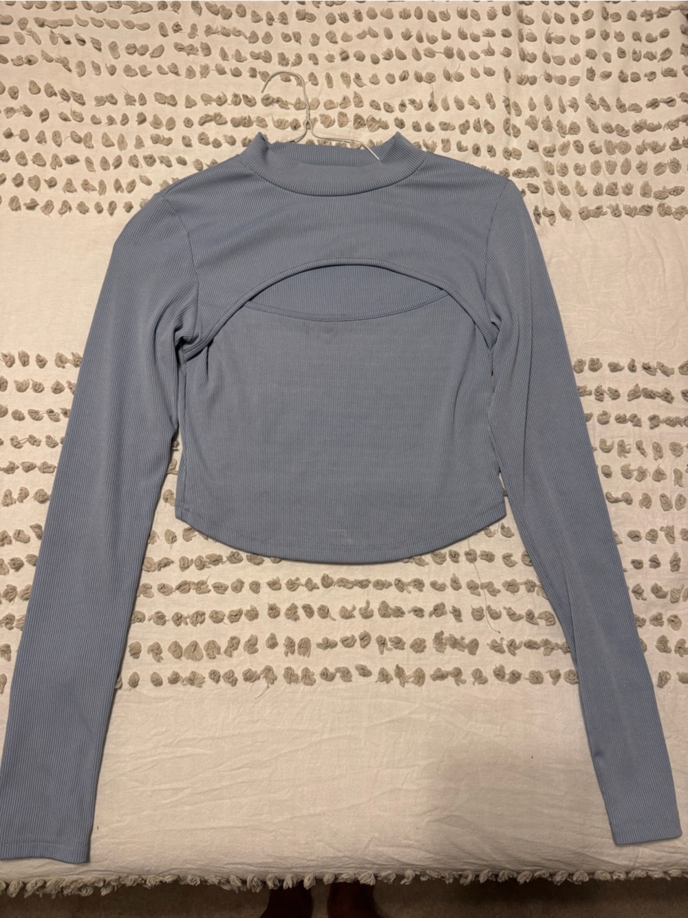 SHEIN Ribbed Scoop-Neck Long-Sleeve Crop Top in Dusty Blue